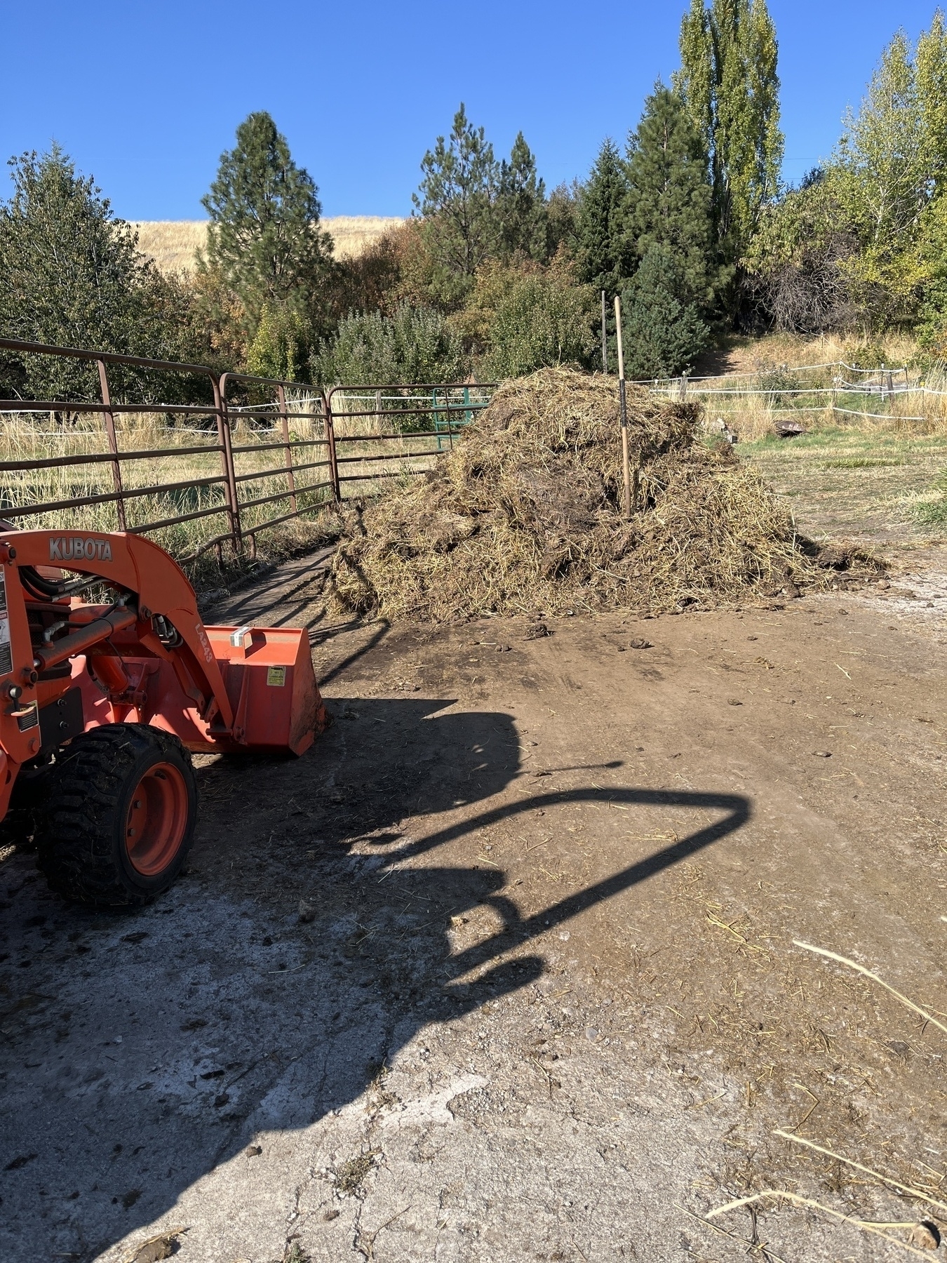 Manure pile and tractor