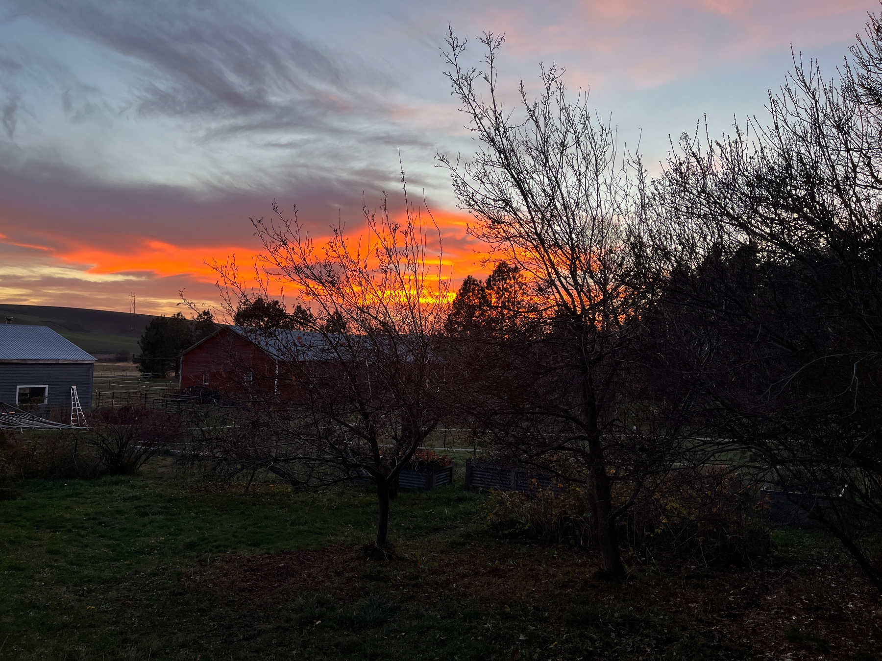 A vibrant sunset casts orange and pink hues over a rural landscape with bare trees and a few buildings.
