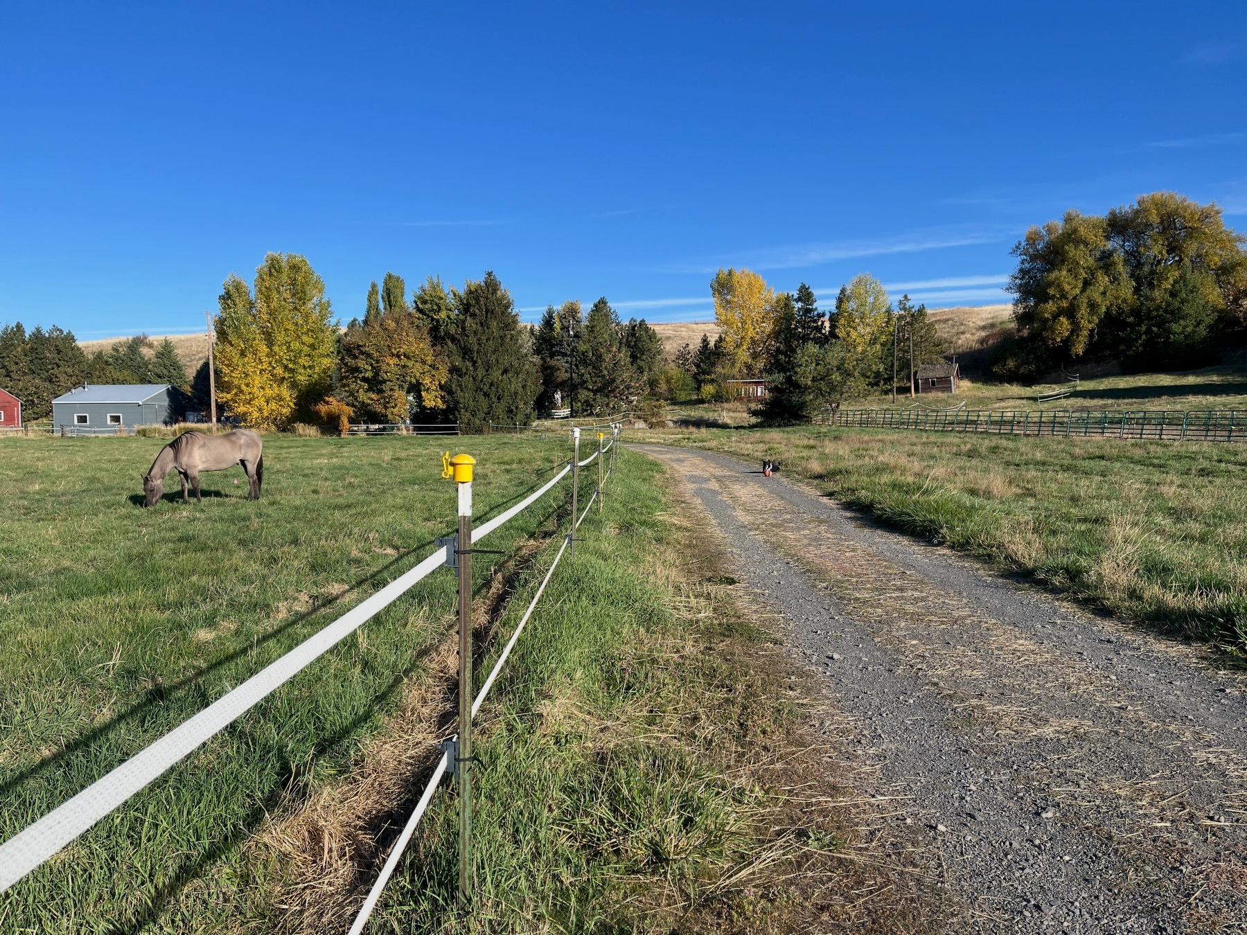 A peaceful rural scene features a gravel driveway running alongside a fenced grassy field where a horse is grazing, with trees and farm buildings in the background under a clear blue sky.