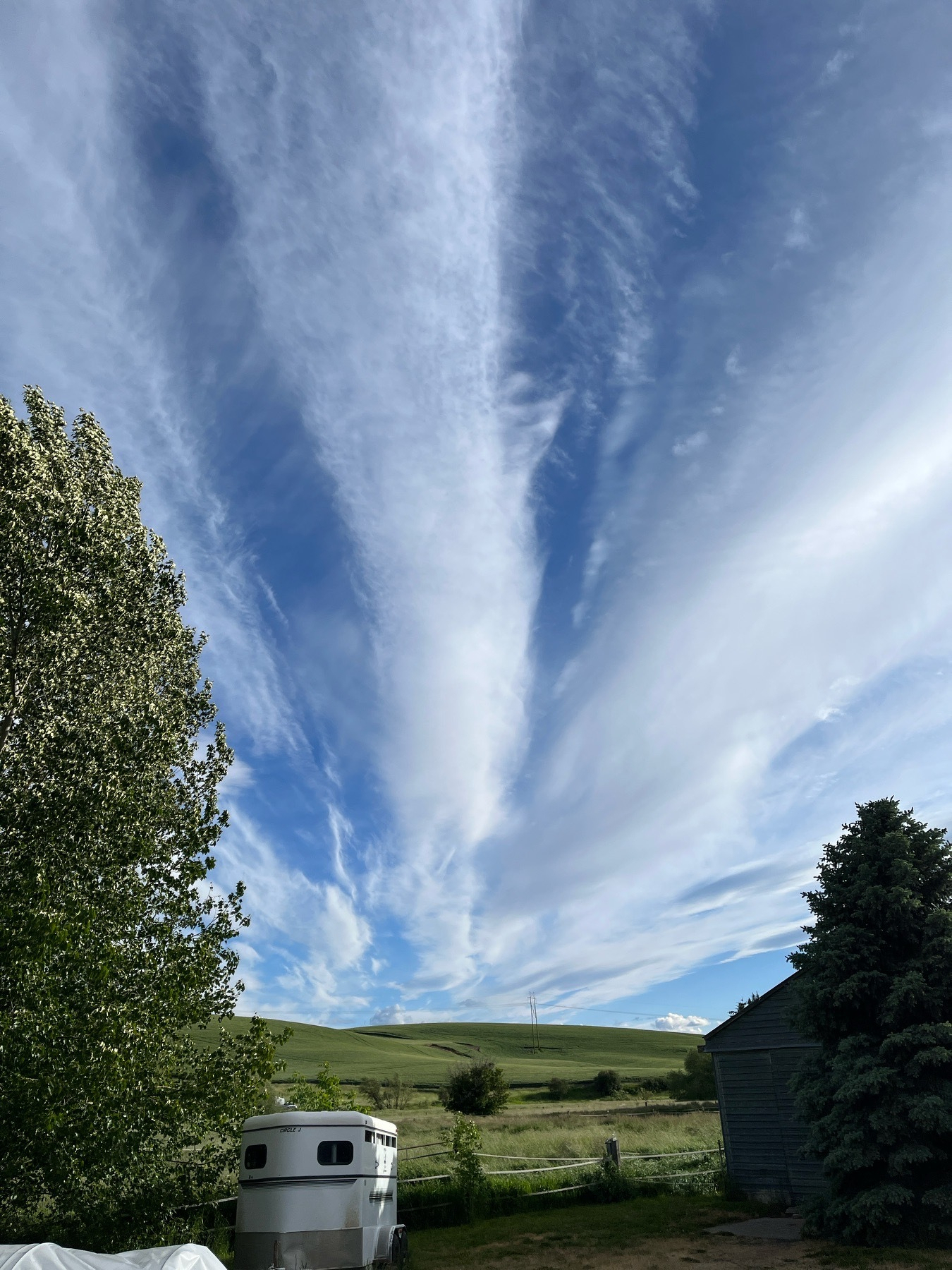 Long rows of clouds in an evening sky