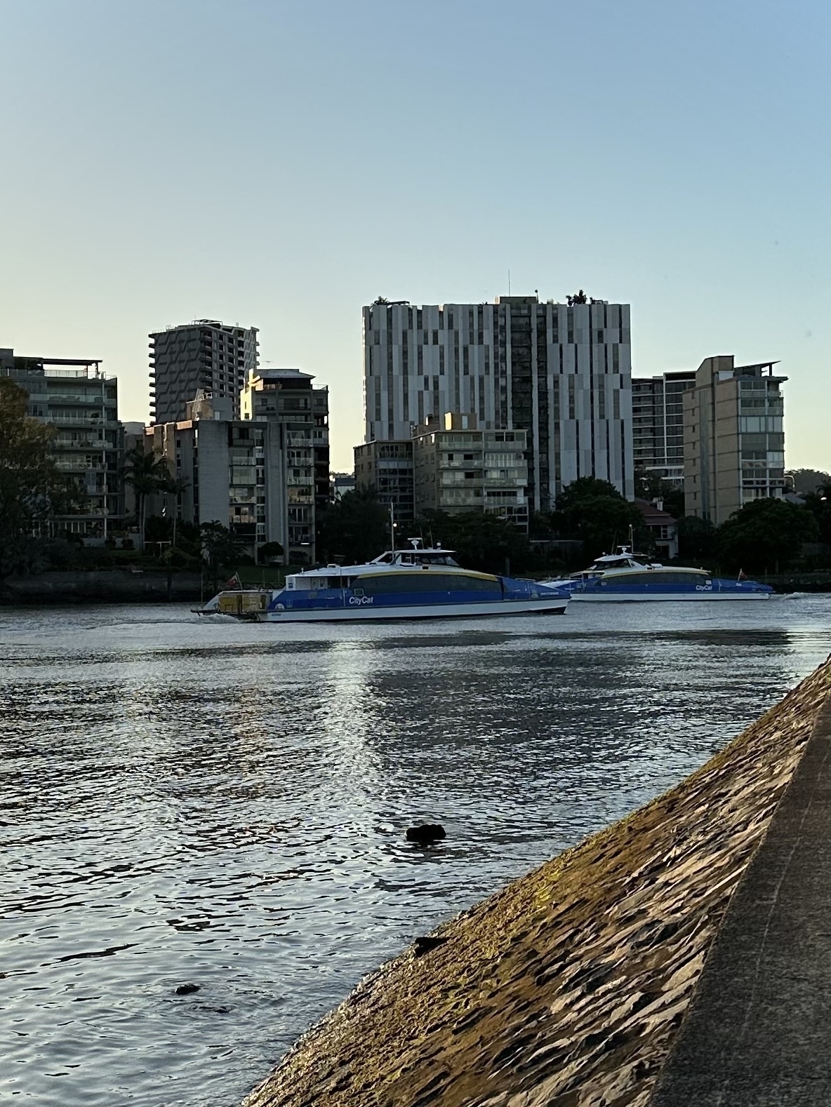 The Brisbane river with two City Cats (ferries) passing each other