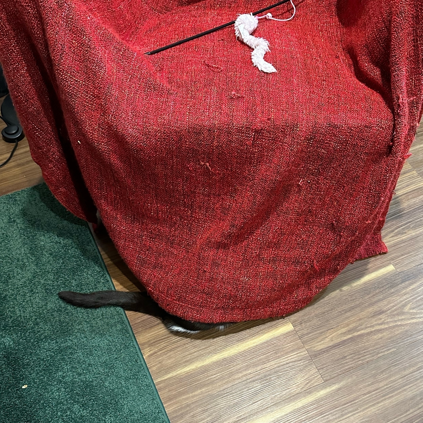 A red throw rug is over a large armchair. A black cat tail and part of a paw are visible poking out from under the throw.