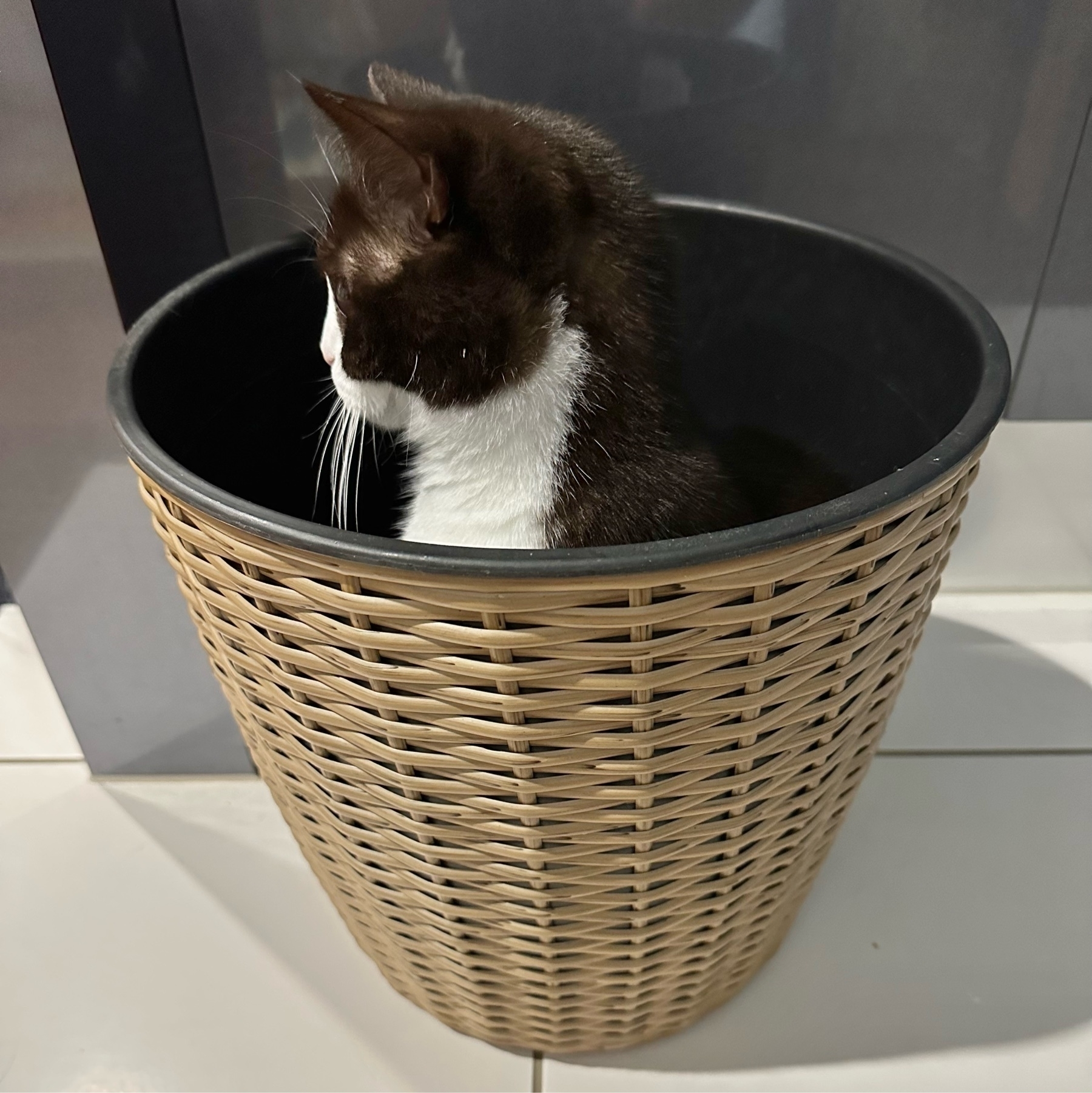A large woven basket sitting on white tiles. A black and white cat is sitting upright inside the pot. The cat is sitting side on so her white belly and black back is clearly visible as is her black head and white chin.