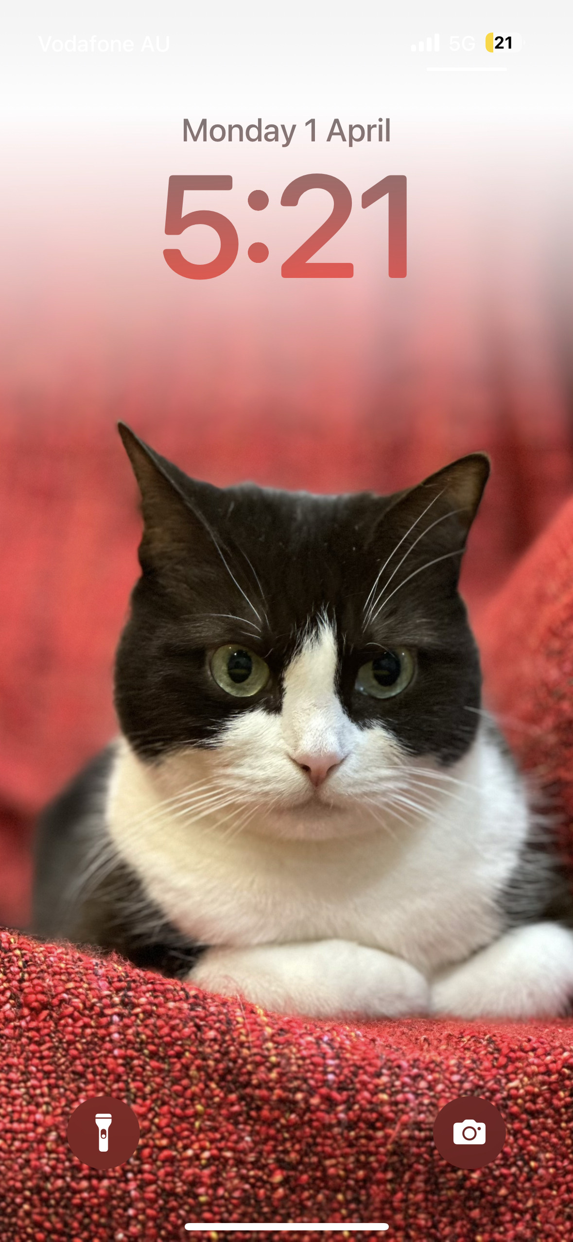 An iPhone lock screen with a photo of a black and white cat sitting on a red throw rug on an armchair looking at the camera. The screen has the date, Monday 1 April, and the time, 5:21pm.