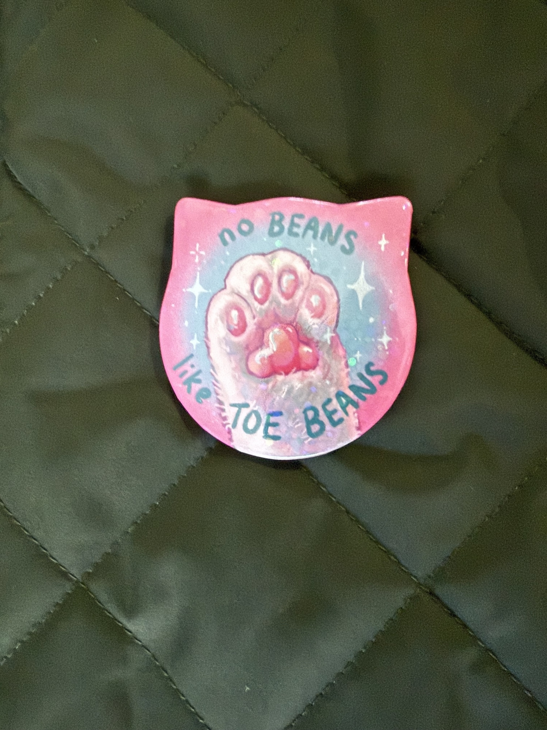 A metal badge pinned on a green jacket. The badge is shaped like the head of a cat. Pink around the edge there is a light blue centre with a white cat paw straight up from the bottom with pink toe beans visible. Dark blue lettering says - No beans like toe beans