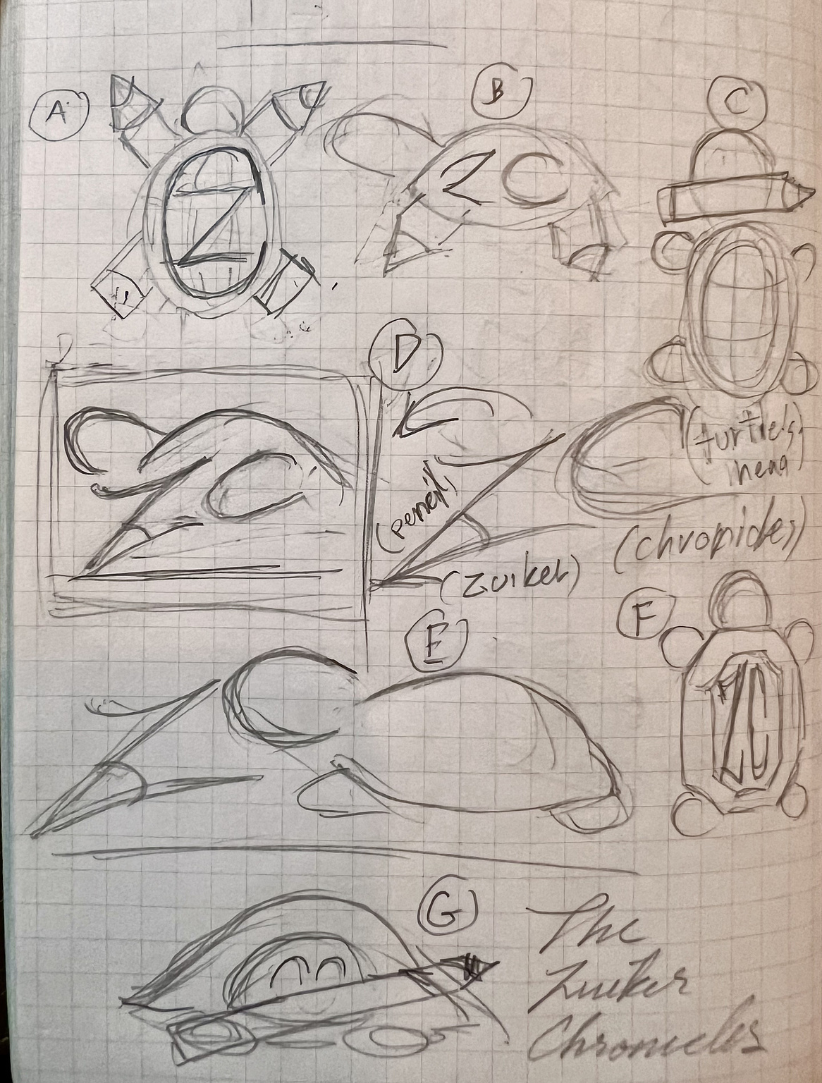 Design directions for brandmark (The turtle)