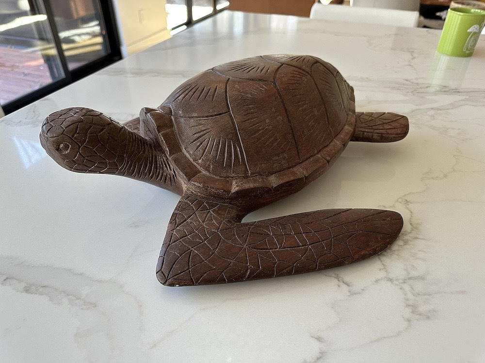 The carving turtle