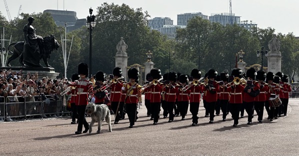 Buckingham Parade