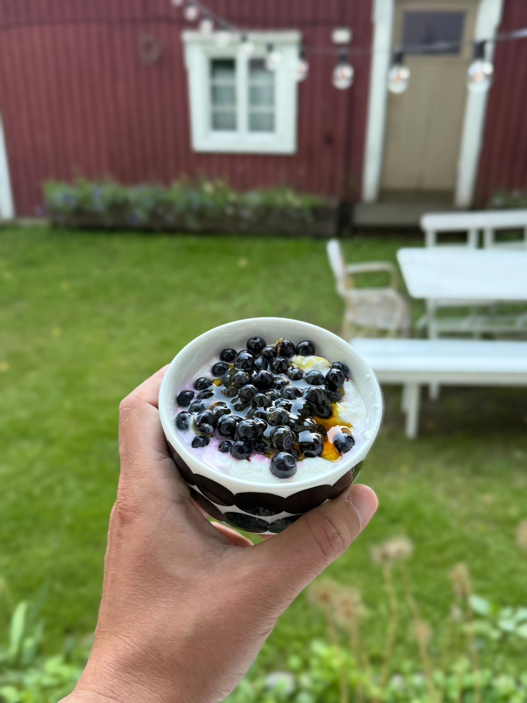 A bowl of yogurt topped with fresh blueberries and honey, held in front of a red wooden house and green garden.