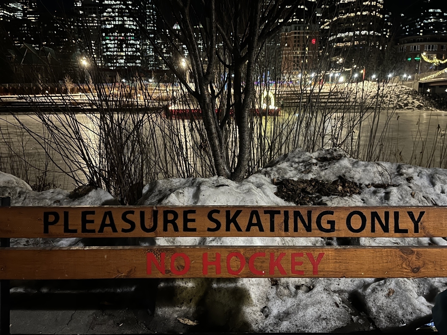 A wooden bench with the sign "PLEASURE SKATING ONLY NO HOCKEY" faces a lit-up ice skating area surrounded by snow and city buildings at night.