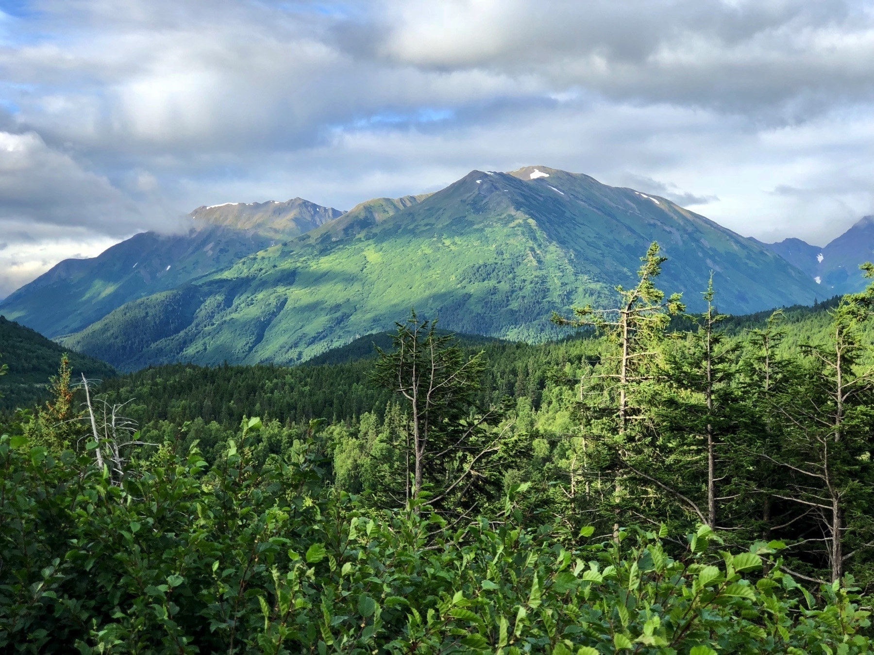 Green mountain behind a tree filled ridge