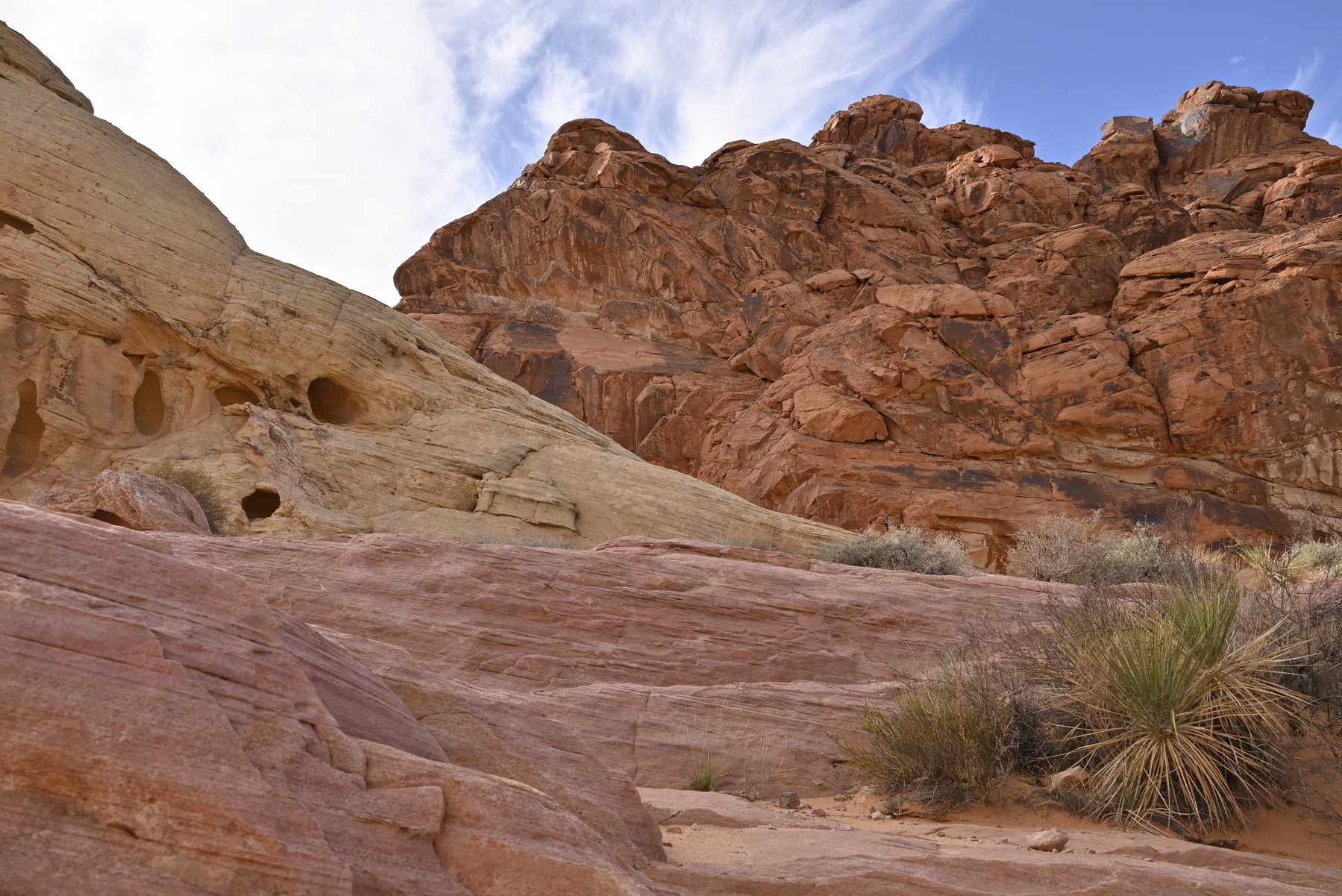 landscape of red sandstone