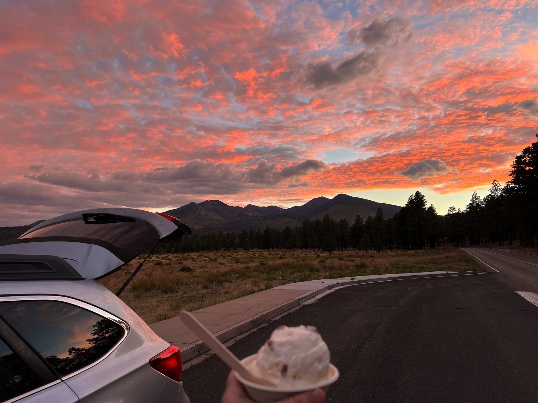 A subaru with the tailgate open parked along a forest road with ice cream in the foreground