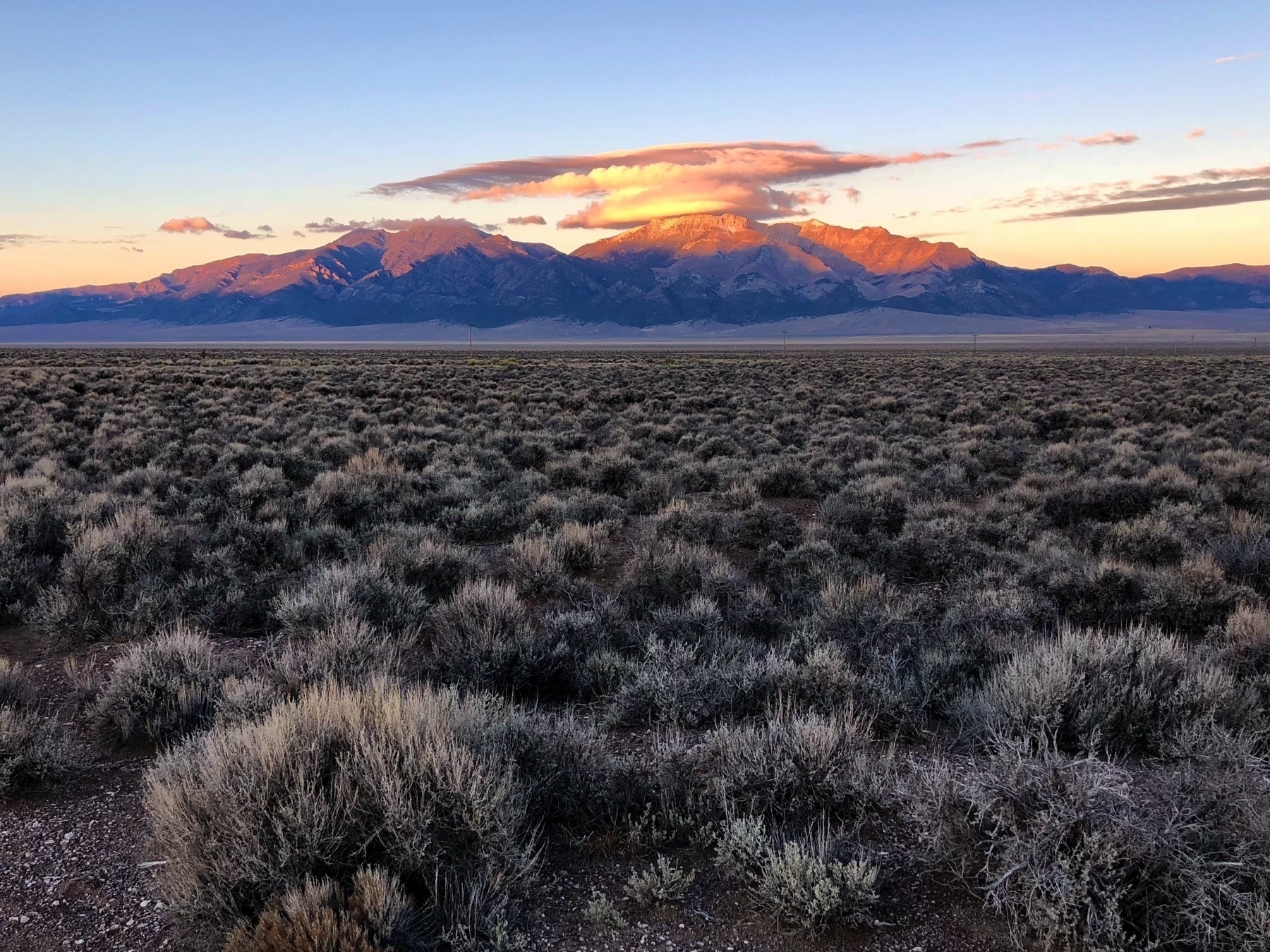 A sagebrush sea punchuated by a mountain with summited with a sunrise and some small clouds.