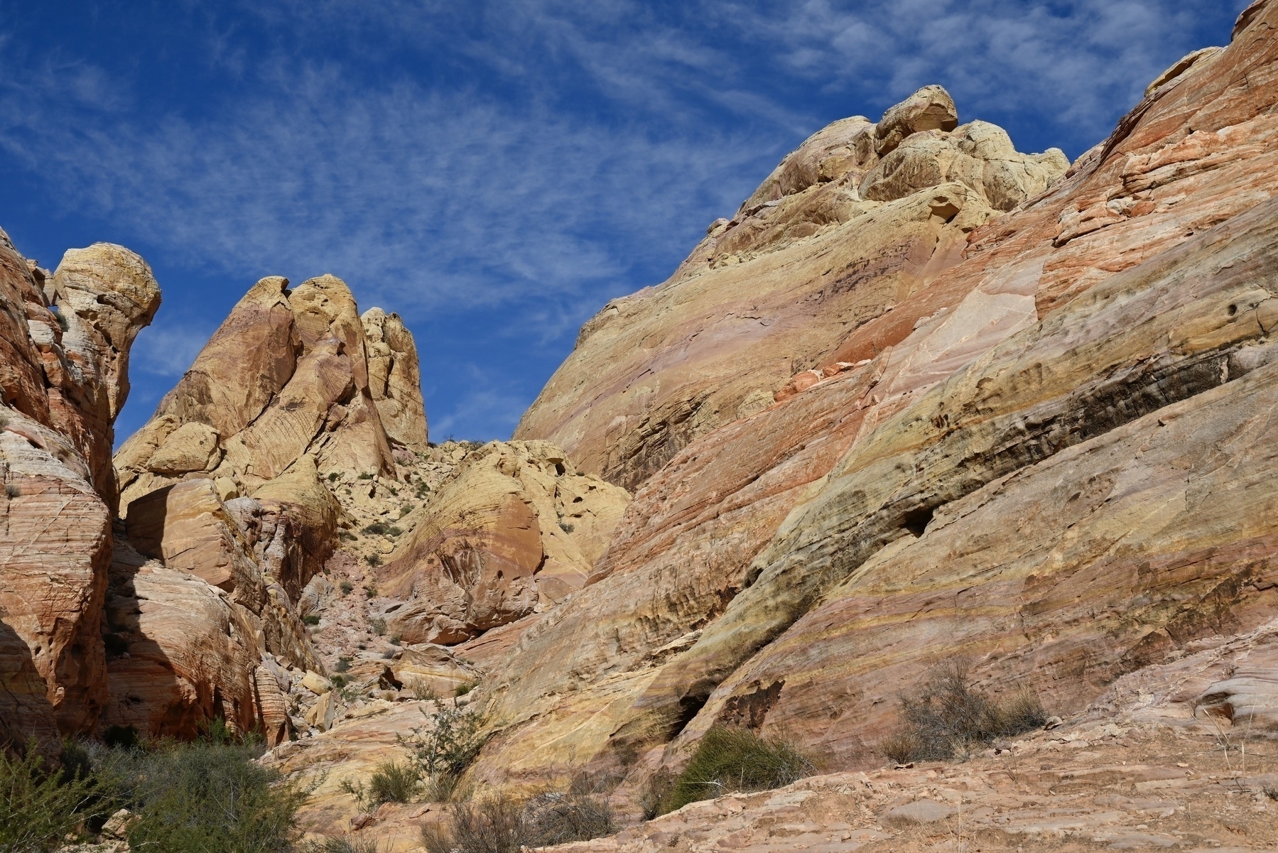 A colorful sandstone landscape