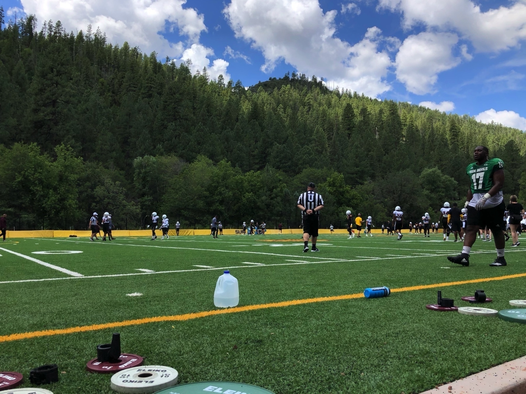 A green football field lined by a pine forest with some players and refs on the field.