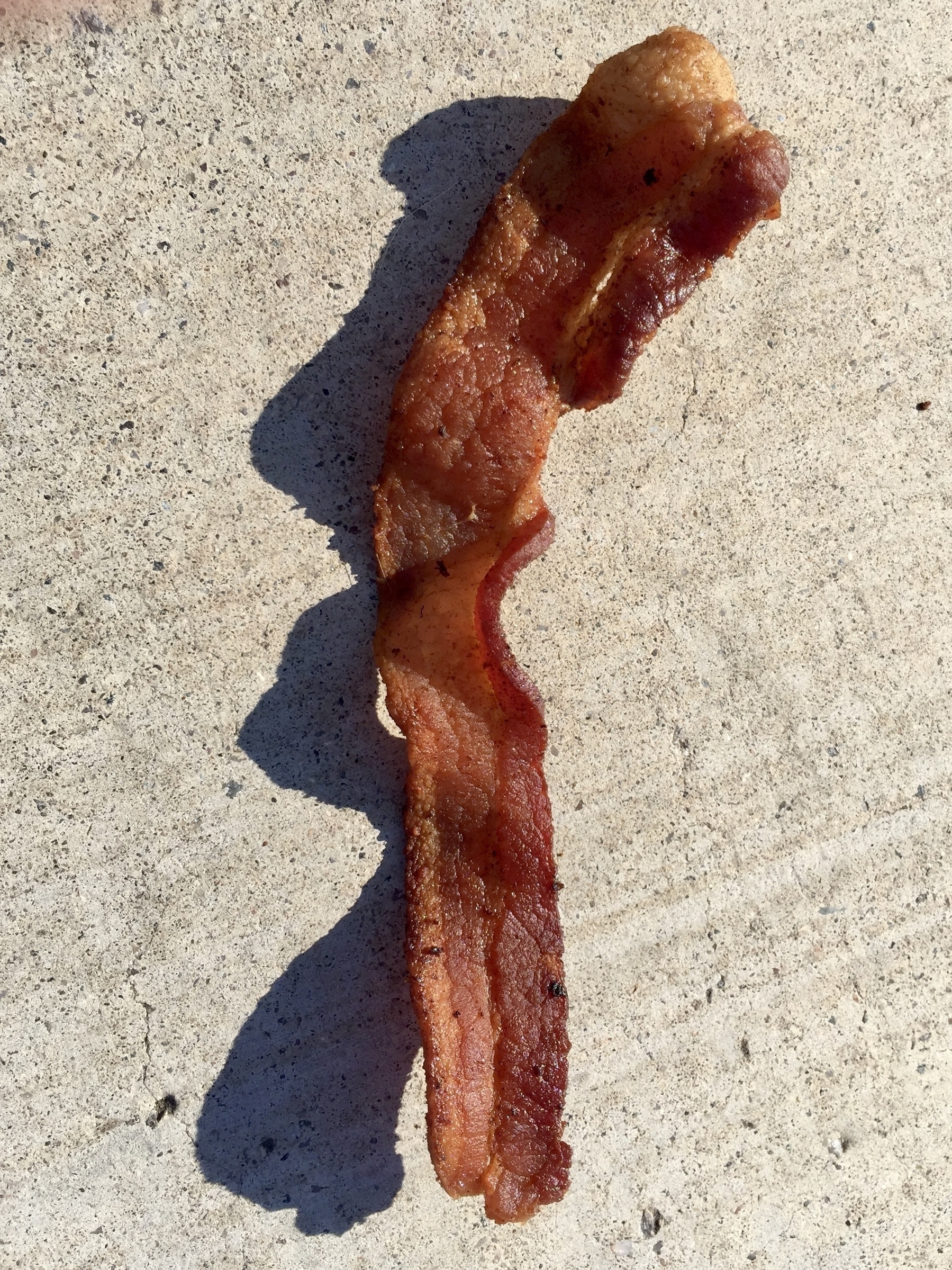 slice of bacon on the sidewalk