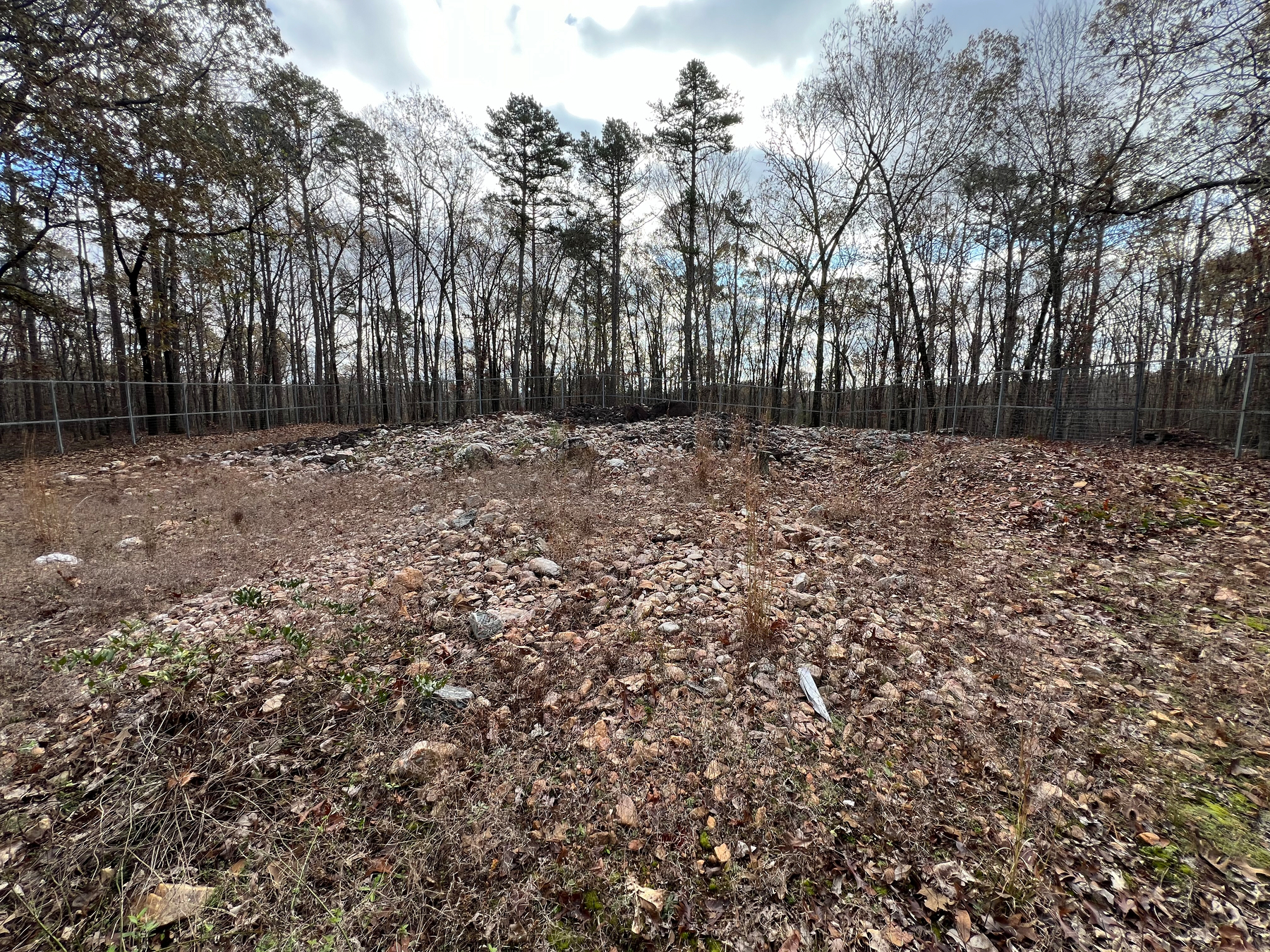 A yellow information board provides details about the history of the Rock Hawk Effigy, featuring images and a description.