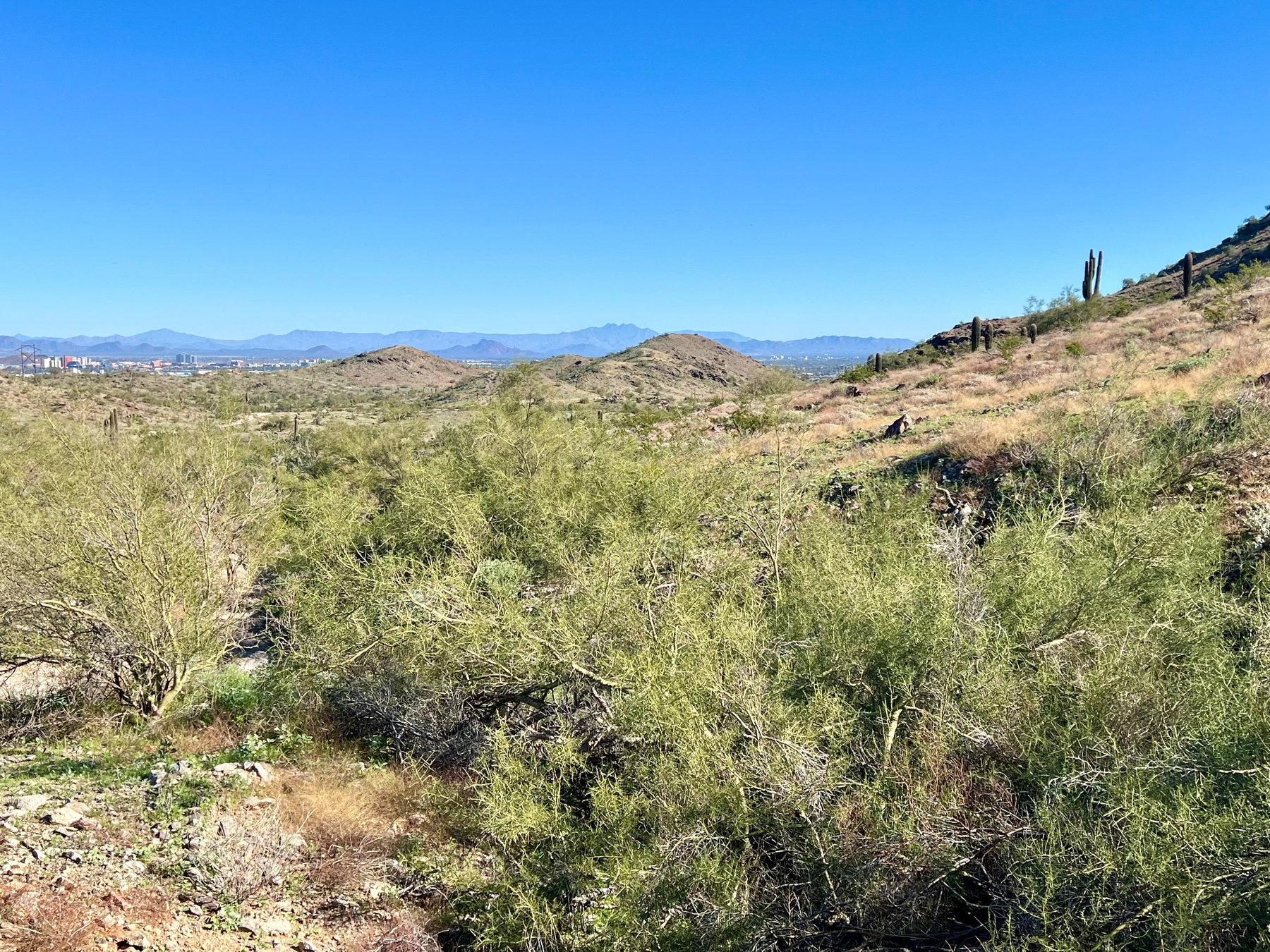A desert landscape features sparse vegetation, rolling hills, and clear blue skies—with a view of Tempe in the distance.
