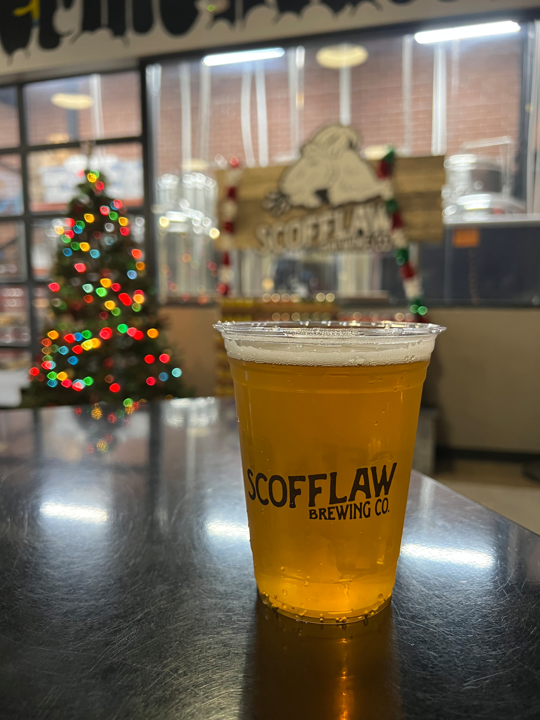 A plastic cup filled with beer from Scofflaw Brewing Co. is placed on a reflective surface with a small, decorated Christmas tree and a brewing setup in the background.