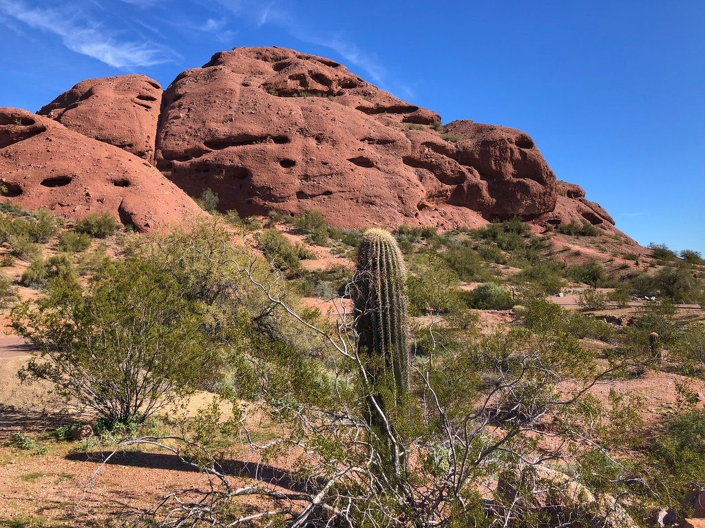 Papago Buttes in what is now called Papago Park