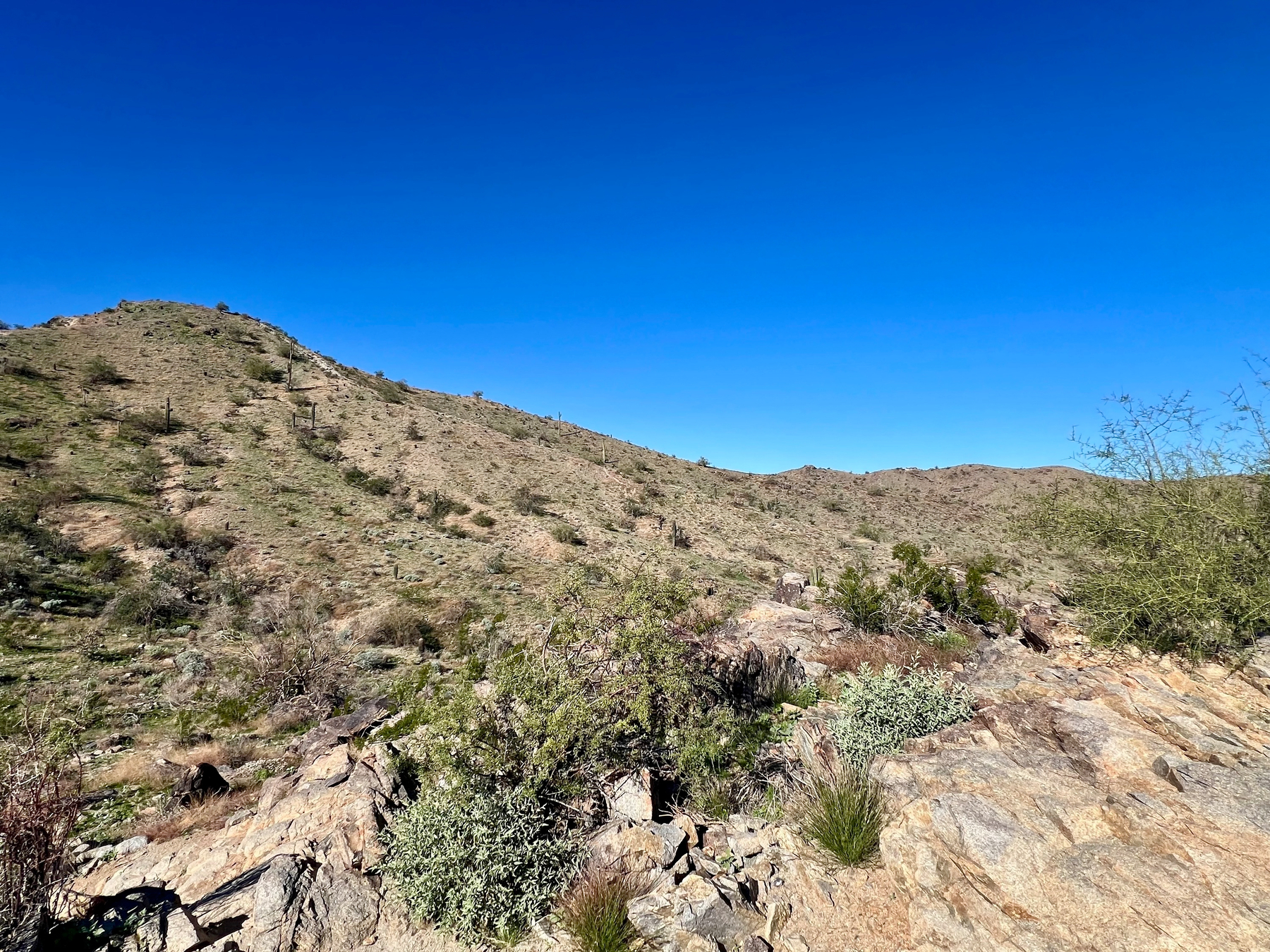 A desert landscape features rocky terrain, sparse vegetation, and a clear blue sky.