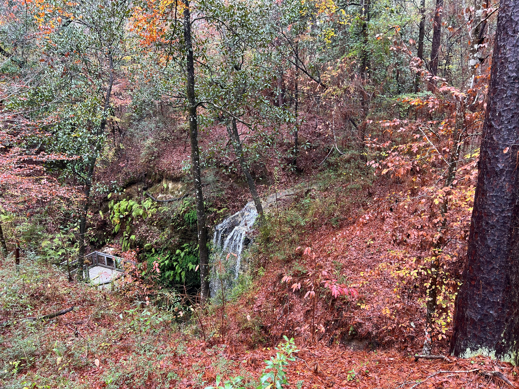 Auto-generated description: A small waterfall cascades through a lush, autumnal forest with vibrant red and orange foliage.