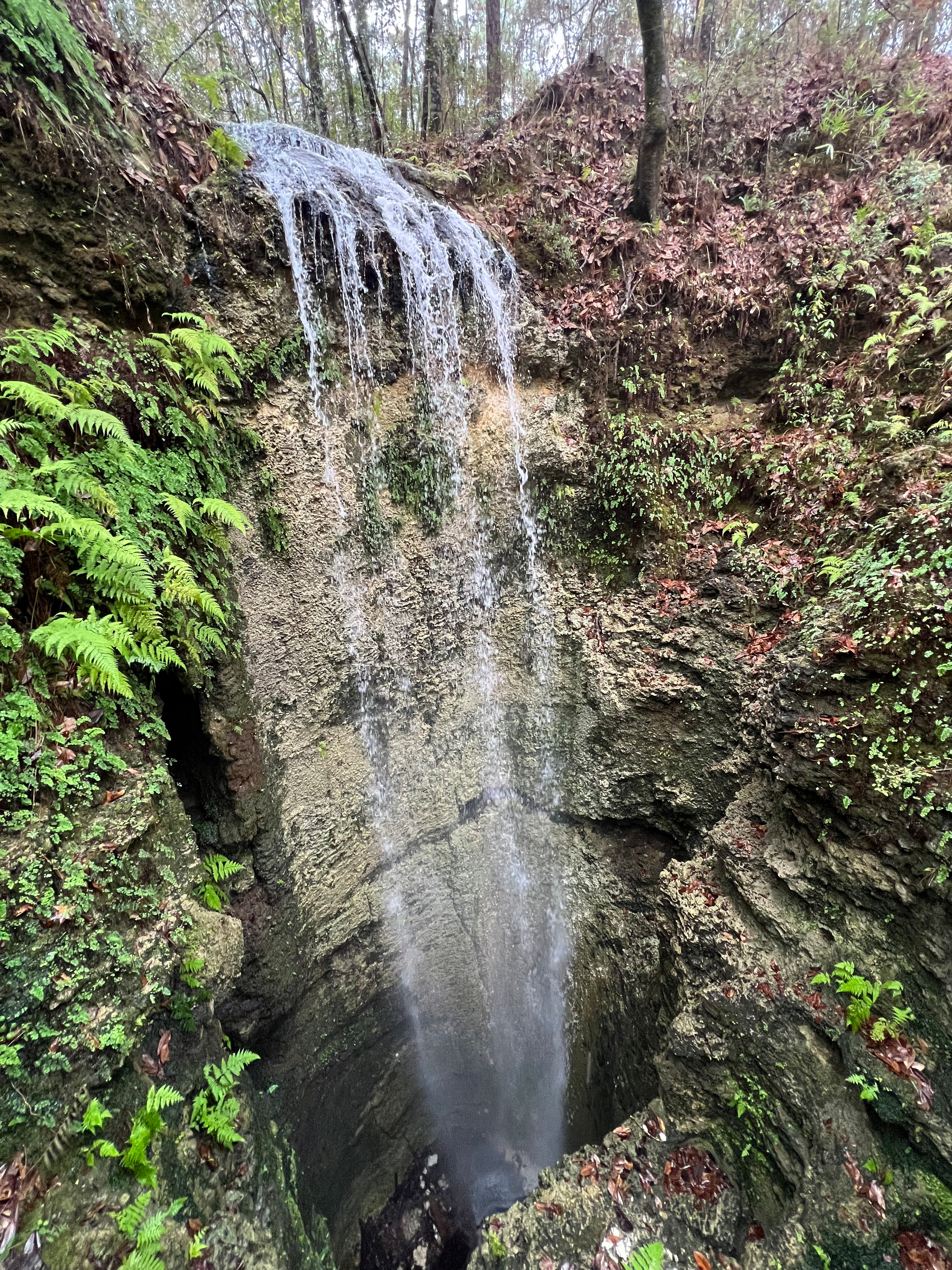 Auto-generated description: A waterfall cascades over a rocky cliff surrounded by lush greenery.