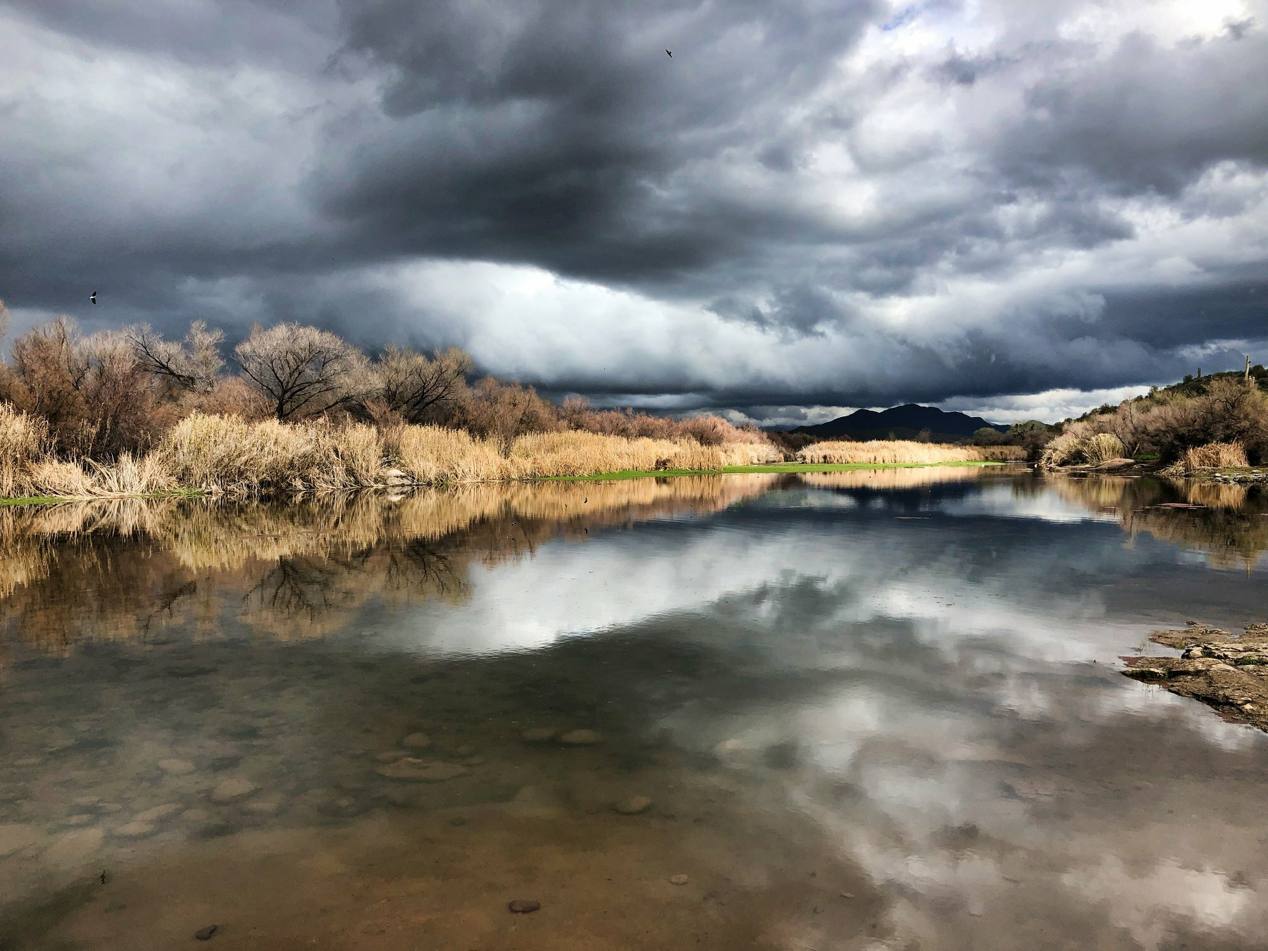 Auto-generated description: A calm river reflects dramatic, cloudy skies and barren trees in a serene landscape.