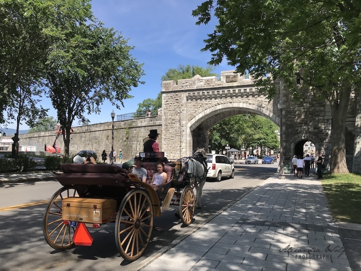 carriage ride in quebec city