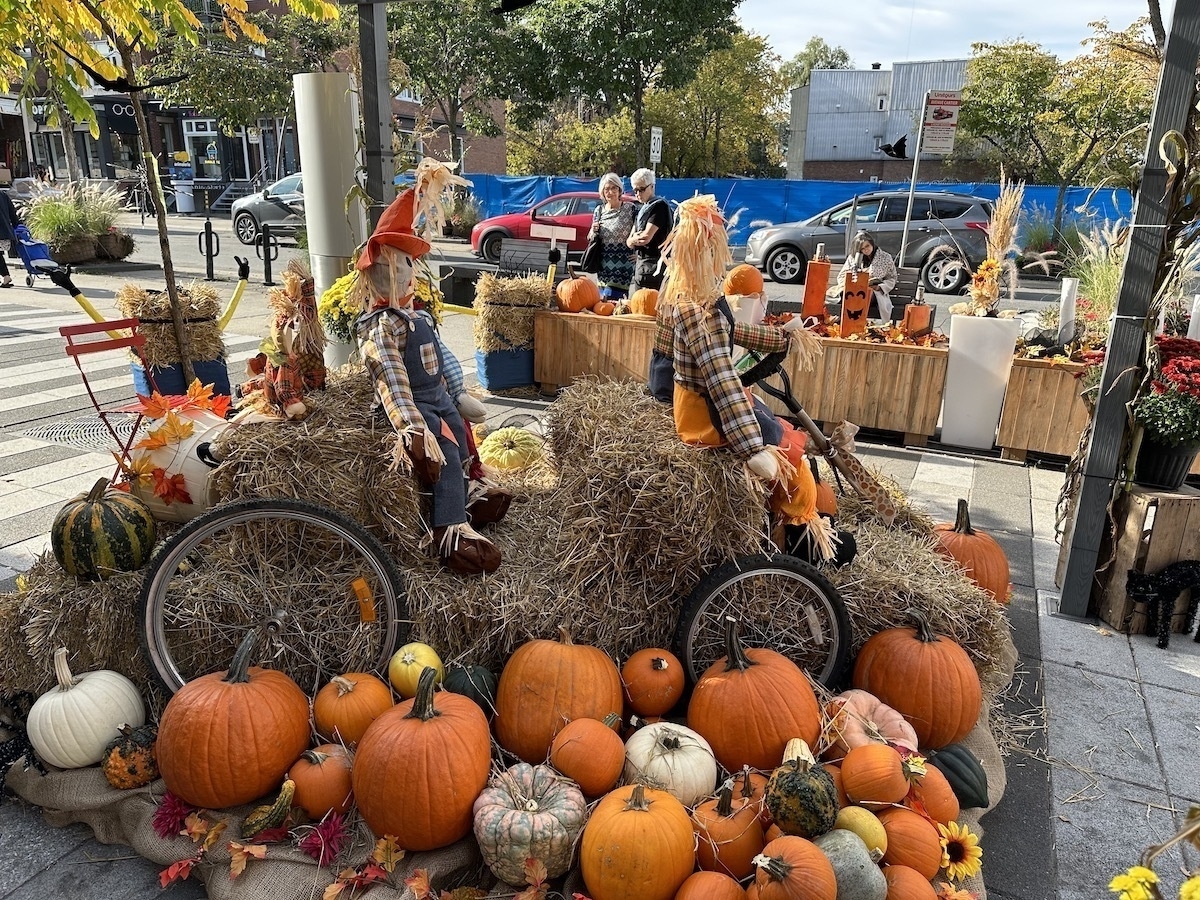 halloween pumpkin display