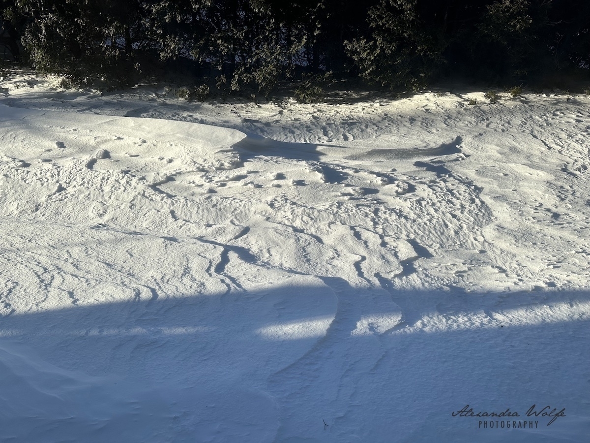 shadow patterns on bright white snow