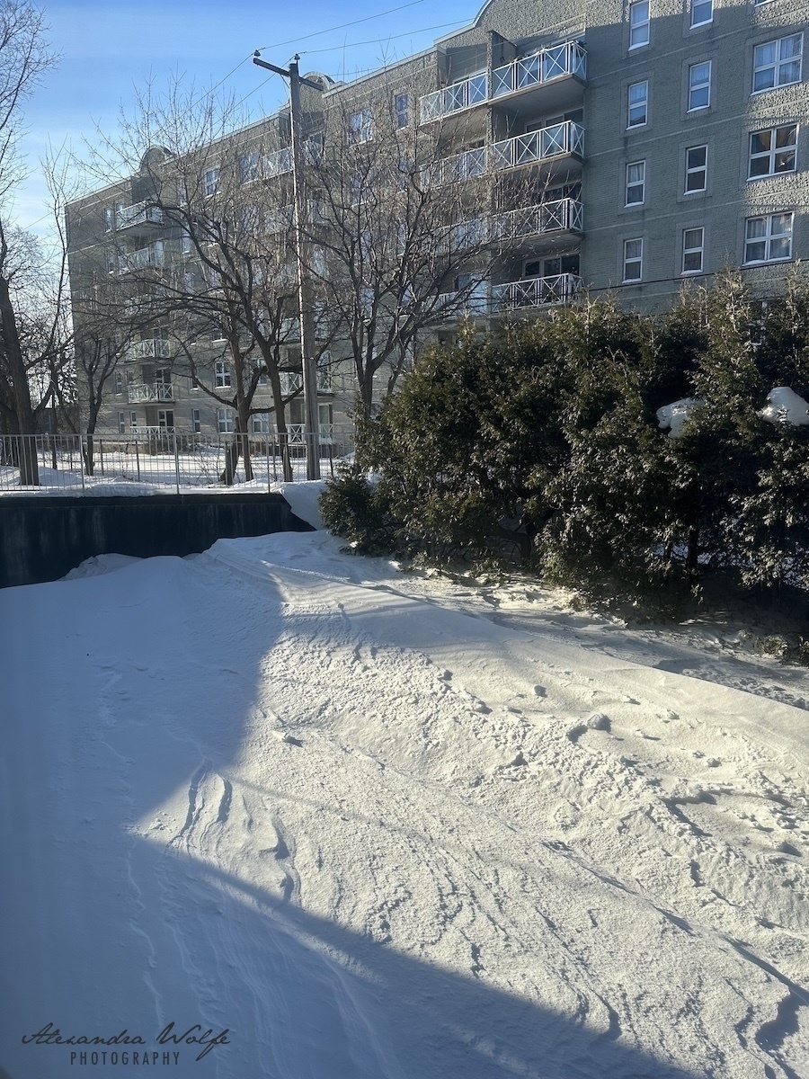shadow covered snow fronting greenery with a building in the background