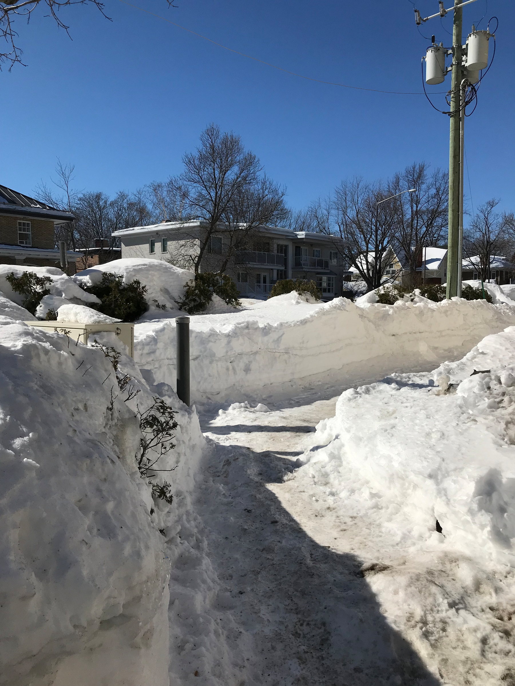 A path is cleared through deep snow with houses and trees in the background under a clear blue sky.