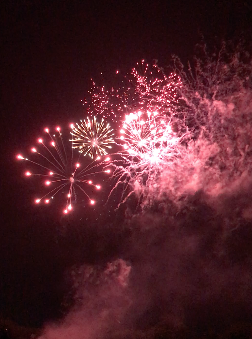 Bright pink and red fireworks burst dramatically against a dark night sky, creating a vibrant display with swirling smoke.