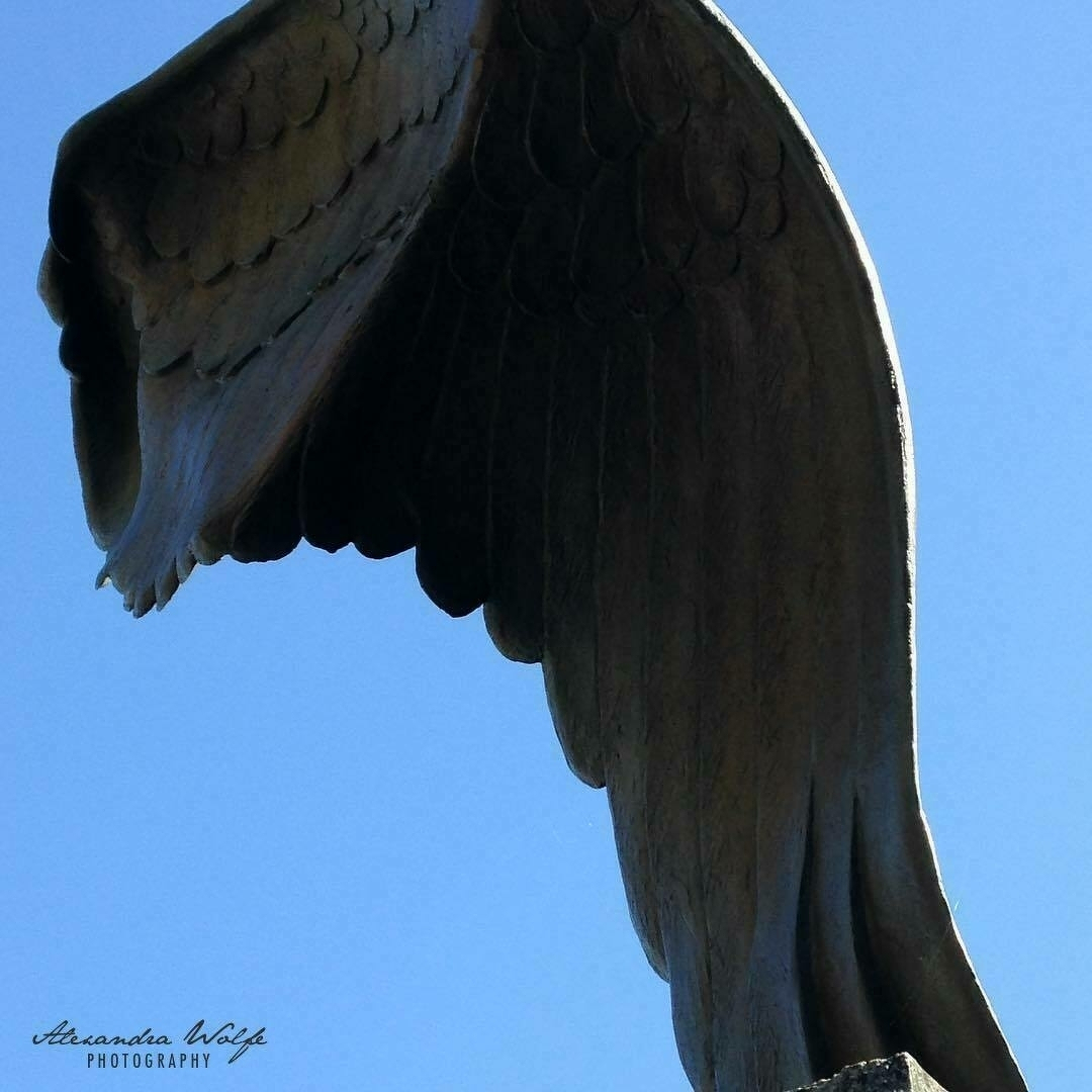A large sculpted wing extends upward into the sky, casting shadows and showing detailed feather textures.