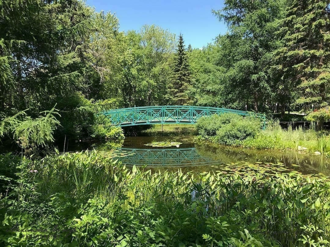 A peaceful blue footbridge crosses over a calm pond surrounded by lush green trees and vegetation.