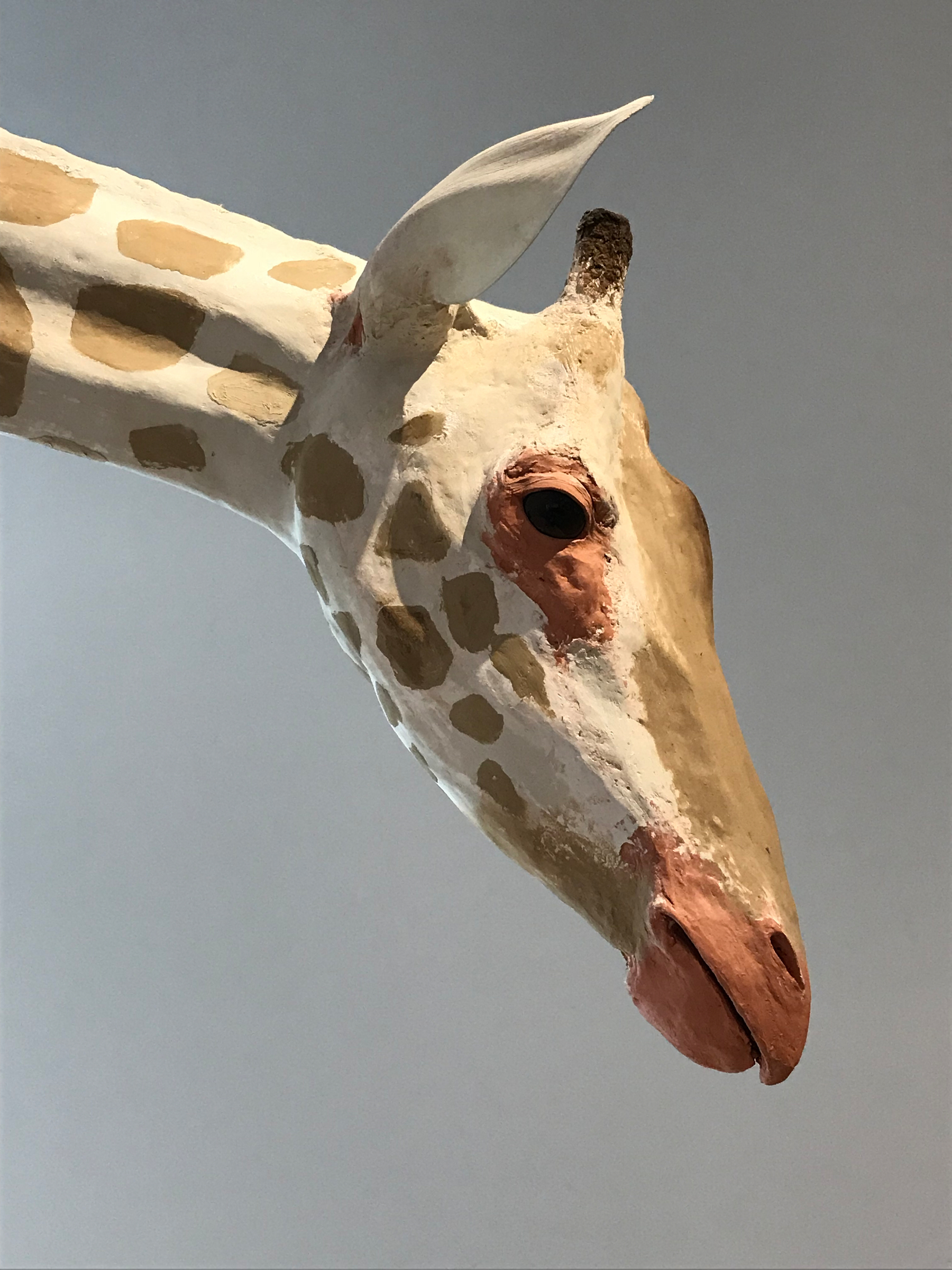 A sculpture of a giraffe's head features with a textured surface and a neutral background.
