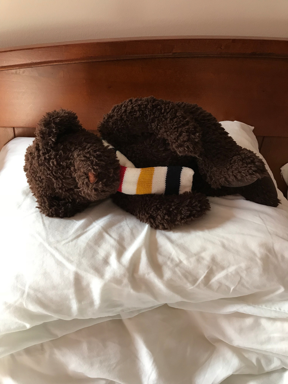 A plush teddy bear with a striped scarf is lying on a white pillow and bed taking a nap.