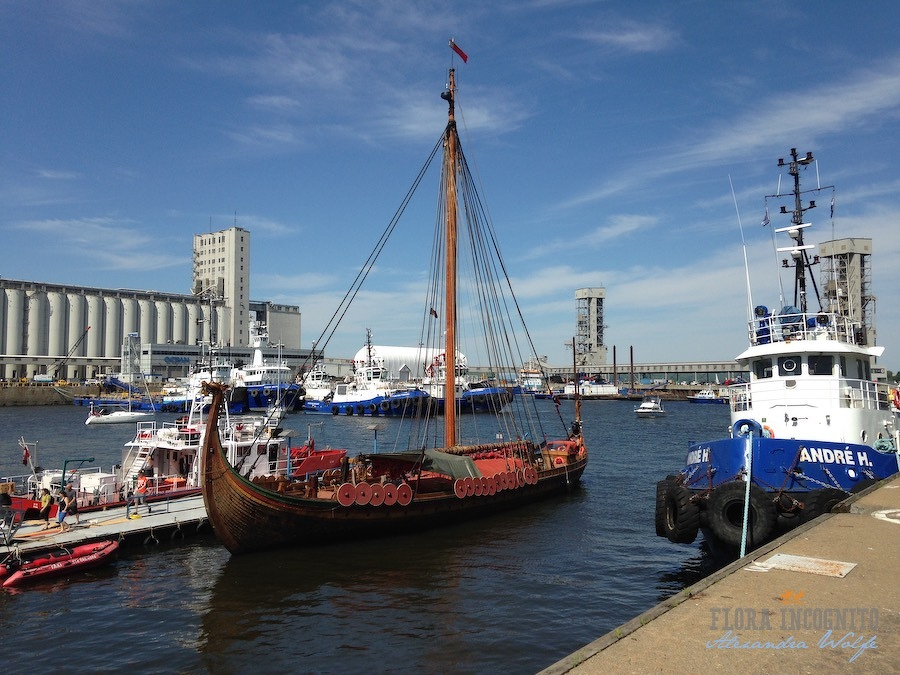 A Viking ship is docked in a harbor alongside modern vessels with industrial buildings in the background.