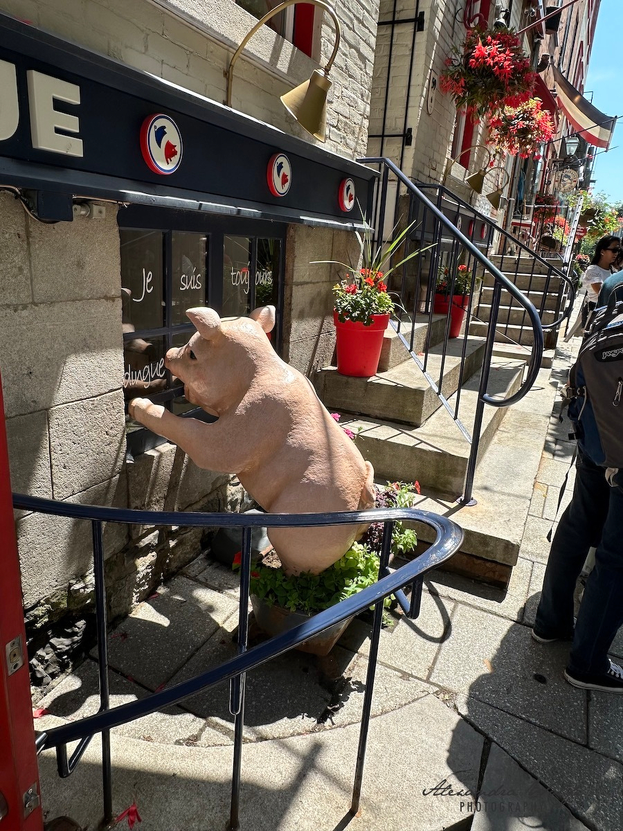 A sculpture of a pig stands on a staircase railing, surrounded by potted plants on a quaint, narrow street.