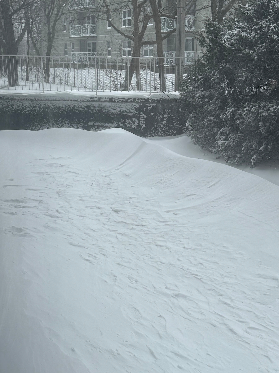 A snowy landscape with snow-covered ground, trees, and bushes near a building.
