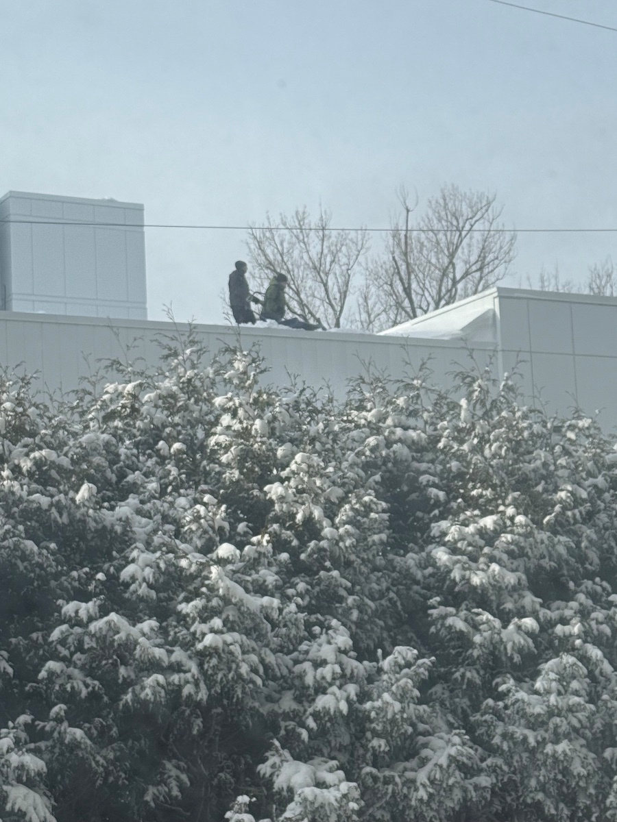 Two people are standing on a snowy rooftop above trees covered in snow.