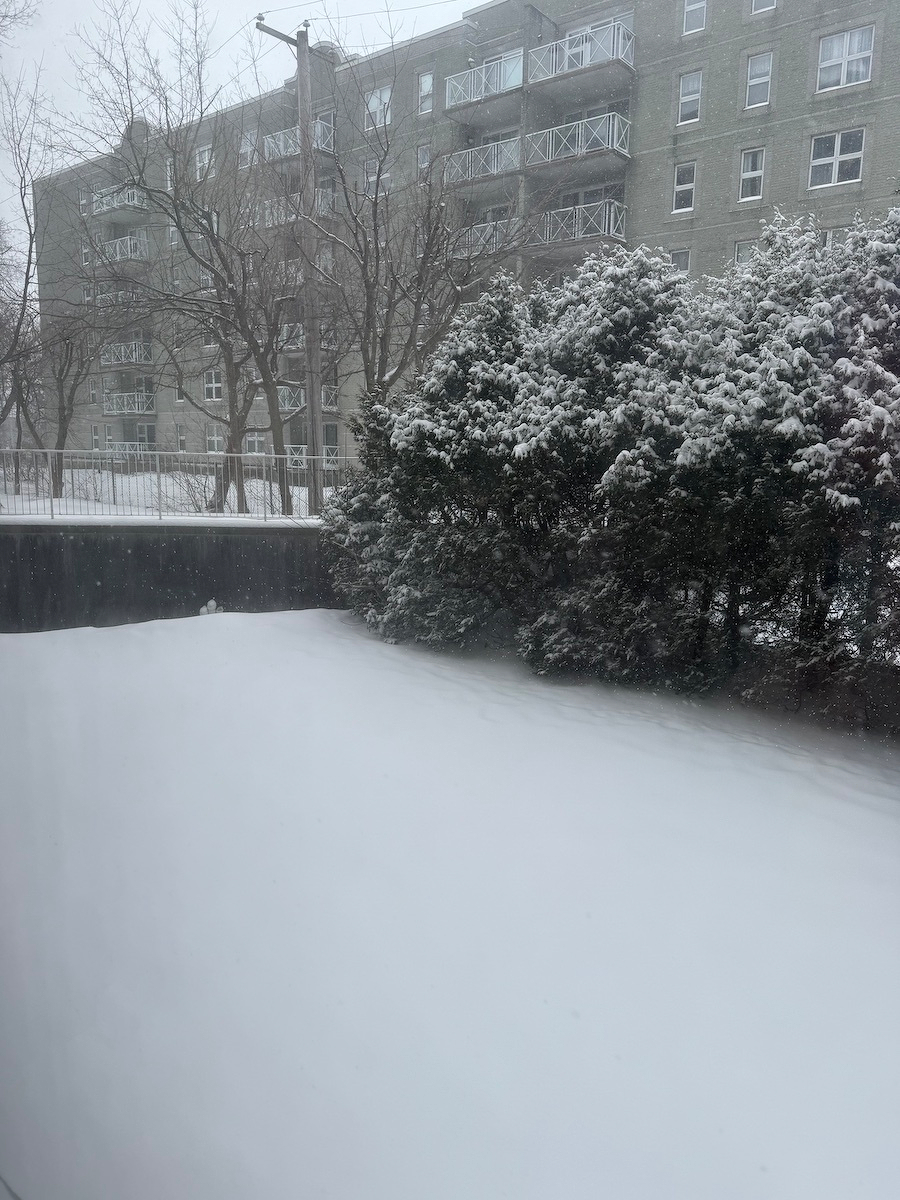 Snow covers the ground and trees in a landscape featuring a residential building in the background.