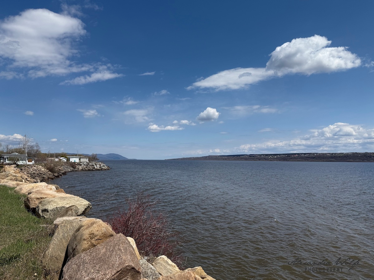 the st. Lawrence river stretches into the distance, bordered by rocks and sparse greenery under a blue sky with fluffy clouds.