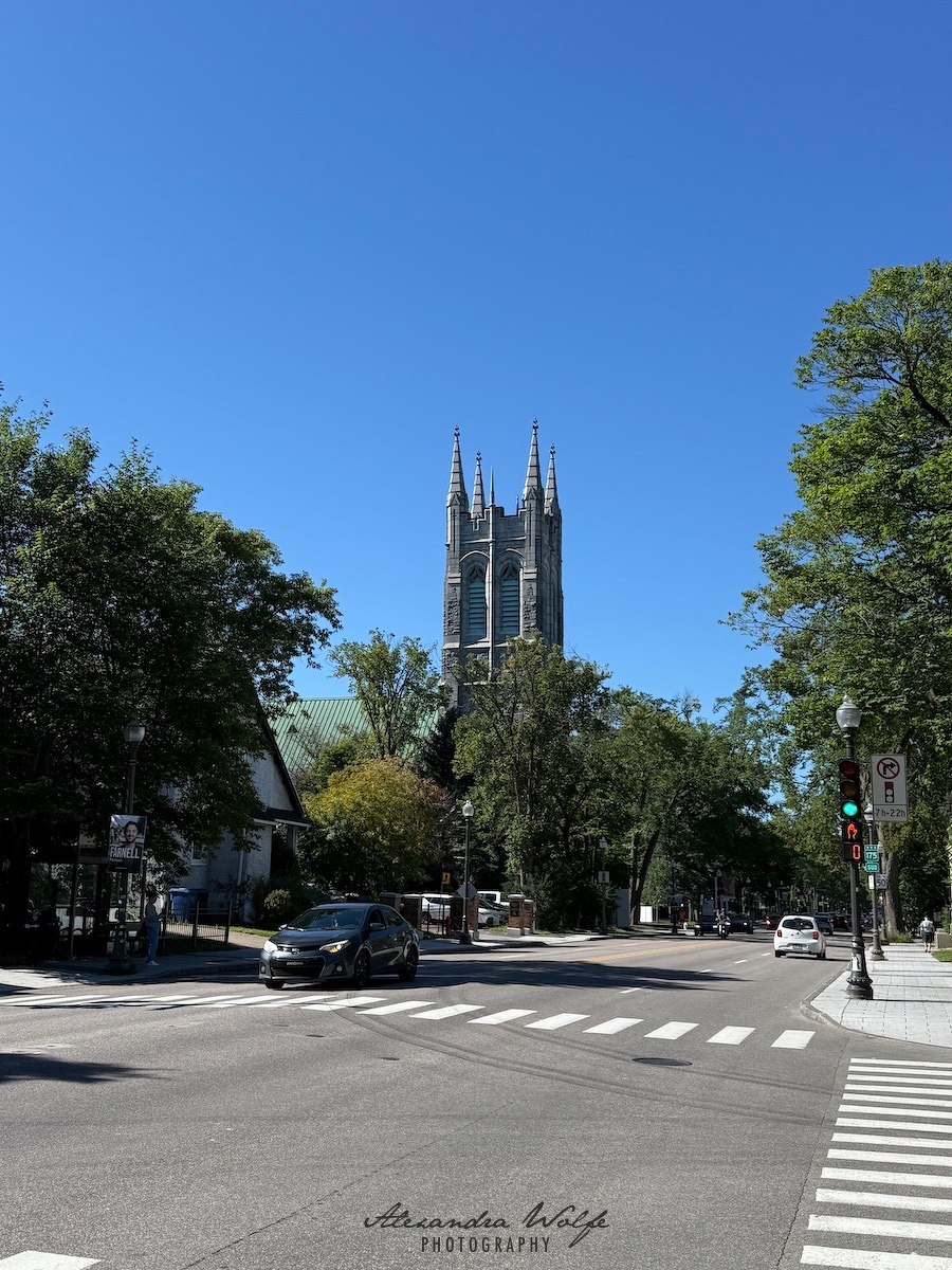 A street scene featuring cars, trees, a pedestrian crosswalk, and a tall, ornate church tower under a clear blue sky.