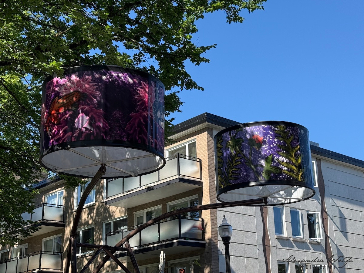 Two large decorative lampshades with floral patterns are mounted on an outdoor metal structure in front of a multi-story residential building under a clear blue sky.