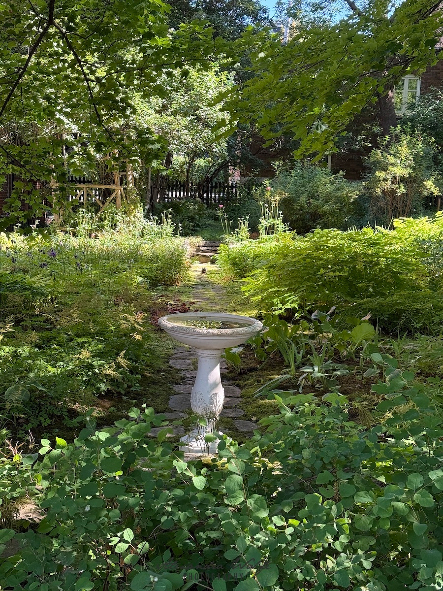 A stone birdbath is centered on a narrow path surrounded by lush greenery and various plants under the shade of tall trees.