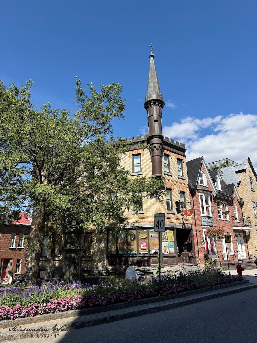 A street scene featuring a historic brick building with a distinctive tall, pointed turret, surrounded by trees, flowers, and other residential buildings under a clear blue sky.