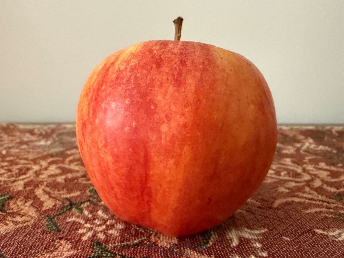 A red gala apple with a stem is placed on a patterned fabric surface.